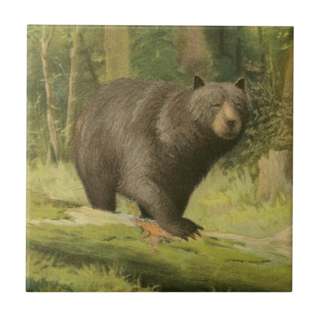 Black Bear Stepping on a Tree Trunk Ceramic Tile (Front)