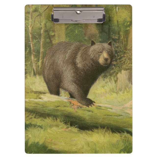 Black Bear Stepping on a Tree Trunk Clipboard (Front)
