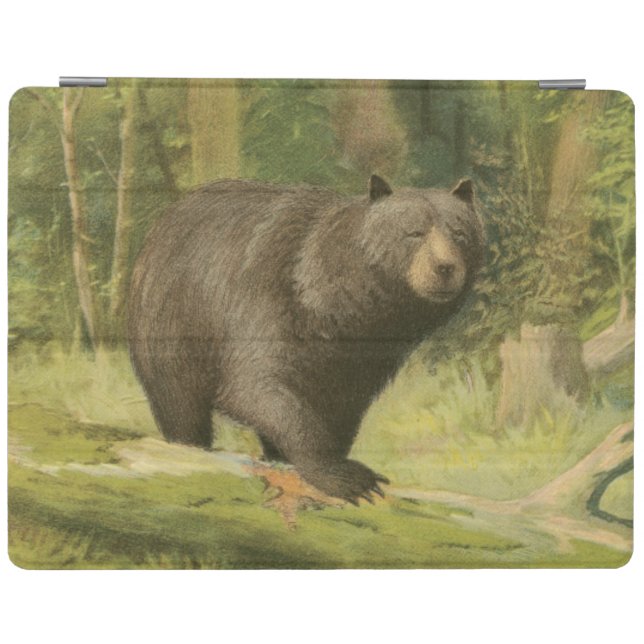 Black Bear Stepping on a Tree Trunk iPad Smart Cover (Horizontal)
