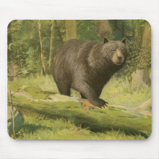Black Bear Stepping on a Tree Trunk Mouse Pad (Front)