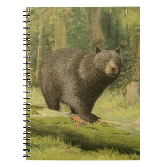 Black Bear Stepping on a Tree Trunk Notebook (Front)