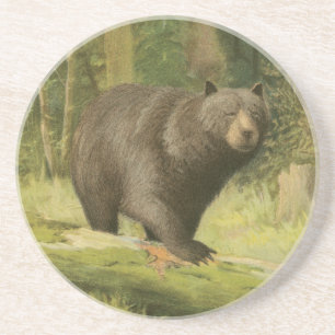 Black Bear Stepping on a Tree Trunk Sandstone Coaster