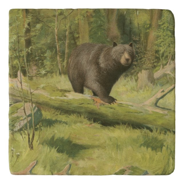 Black Bear Stepping on a Tree Trunk Trivet (Front)