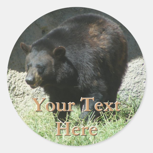 Black Bear Stickers (Front)