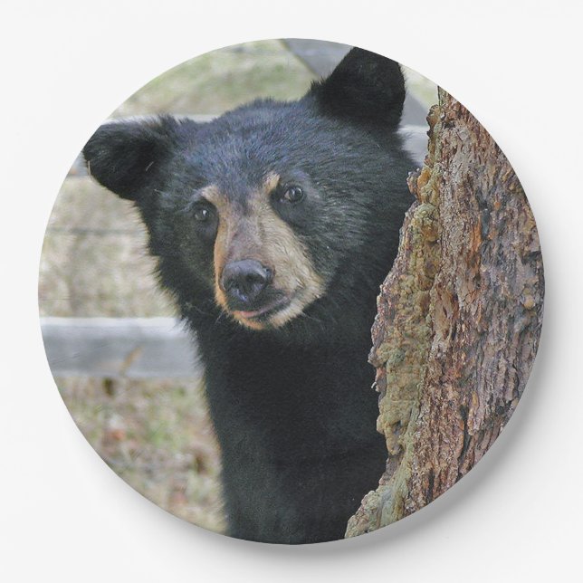 Black Bear Tree Photo Paper Plates (Front)
