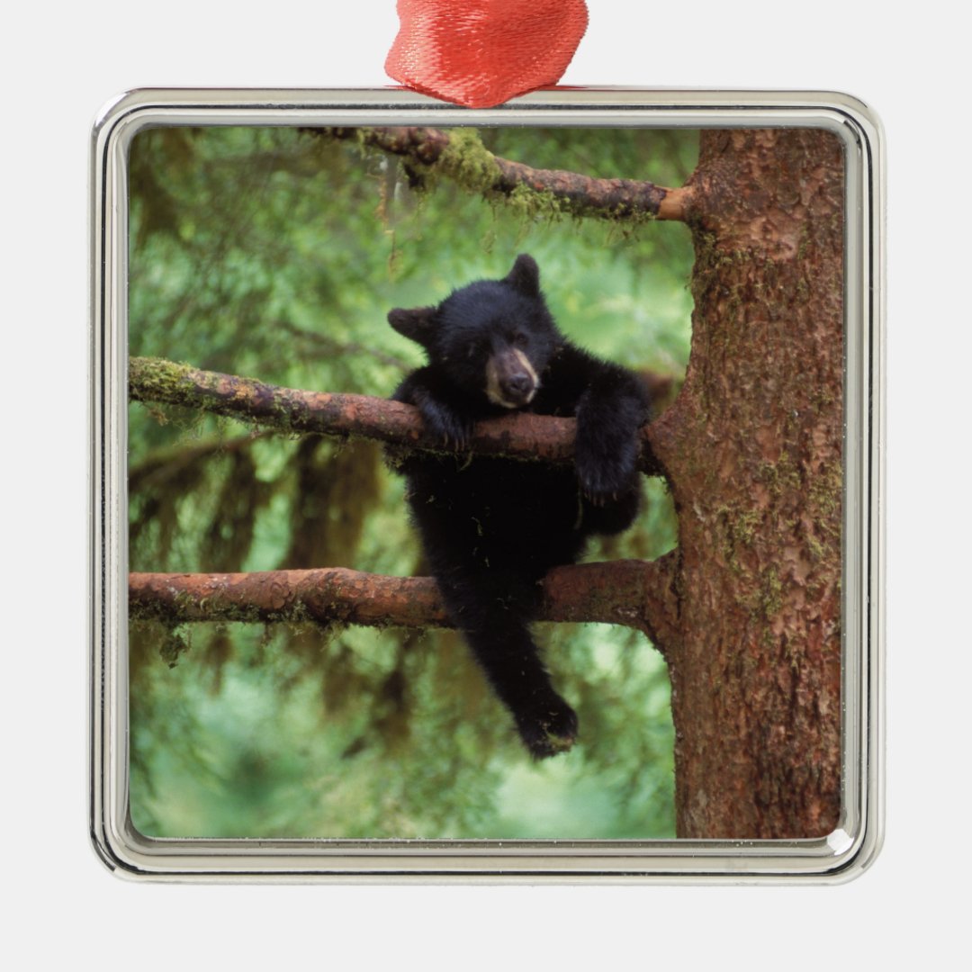 Realistic Black Bear Cub Tree Ornament Statue - Outdoor Garden Decor, Resin (12.25" H)