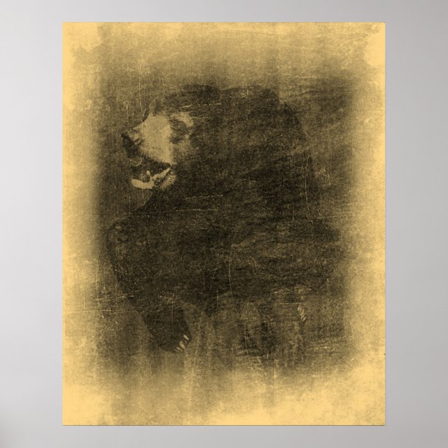Black Bear Vintage Art Posters (Front)