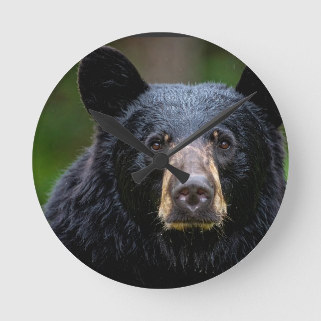 Black Bear Wild Nature Design Round Clock (Front)
