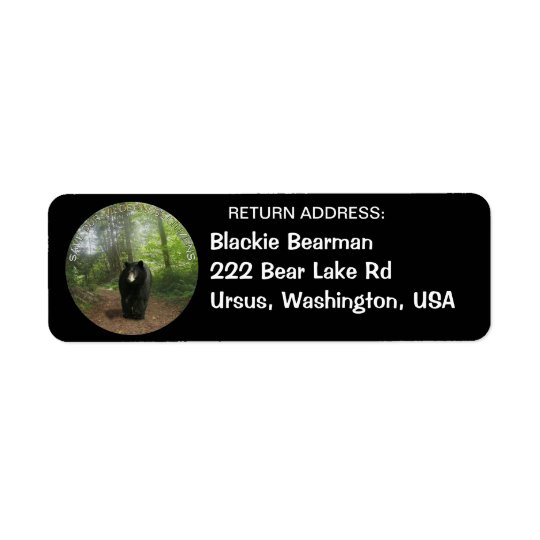 bear writer address