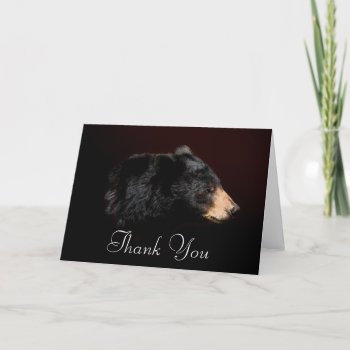 Black Bear Wildlife Thank You Card by RavenSpiritPrints at Zazzle