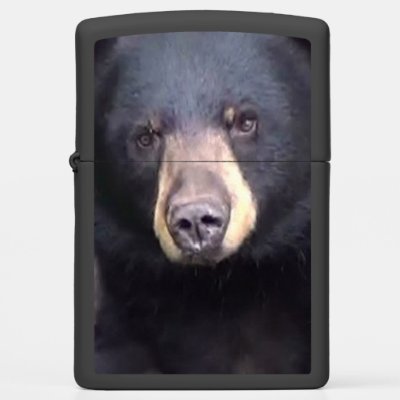 Black Bear Zippo Lighter