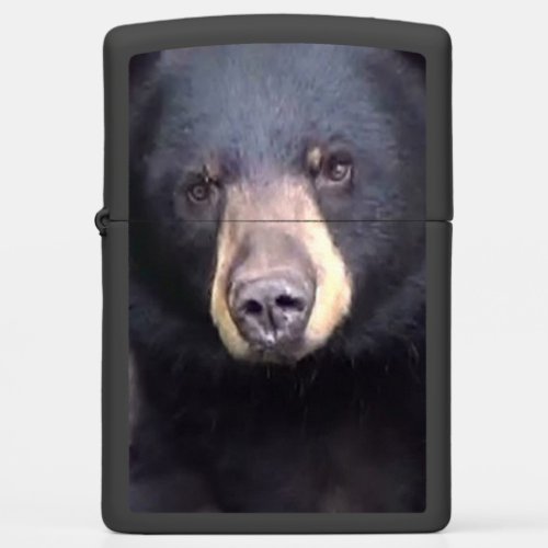 Black Bear Zippo Lighter