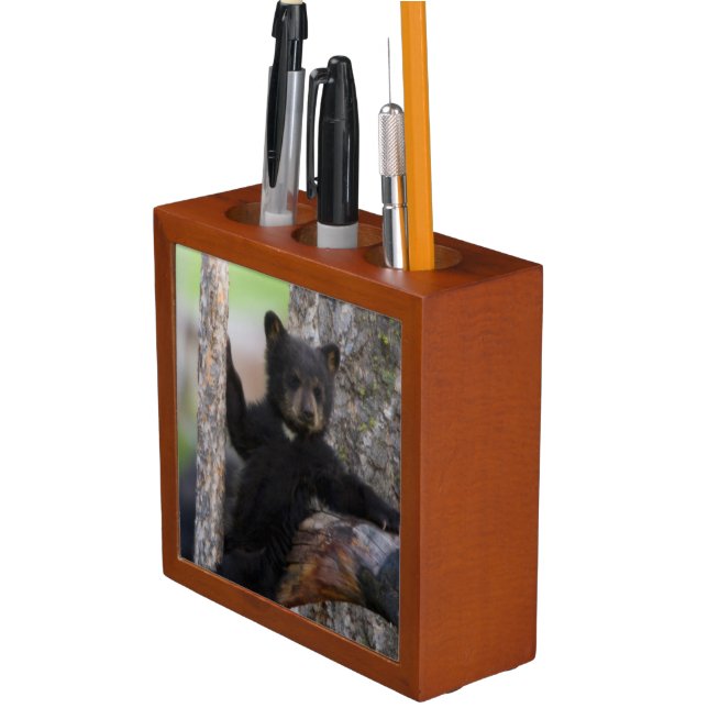 Black Bears Cub Lounging Desk Organizer (In Situ)