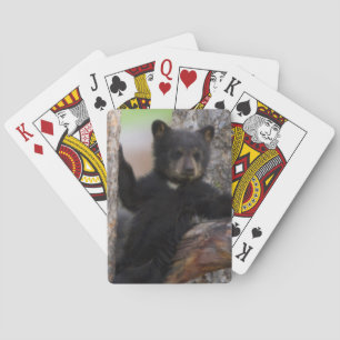 Black Bears Cub Lounging Poker Cards