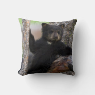 Black Bears Cub Lounging Throw Pillow