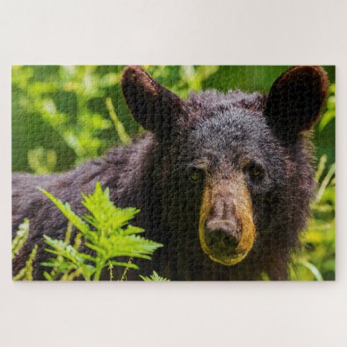 Black Bears Jigsaw Puzzle