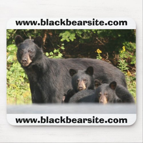black bears mouse pad