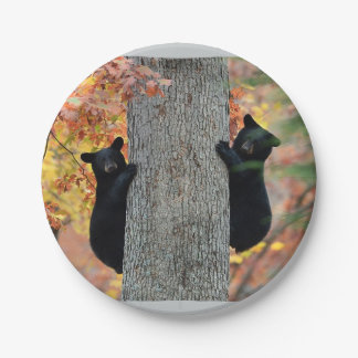 Black Bears plates