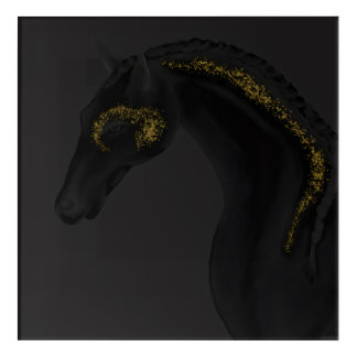Black Beauty Acrylic Print