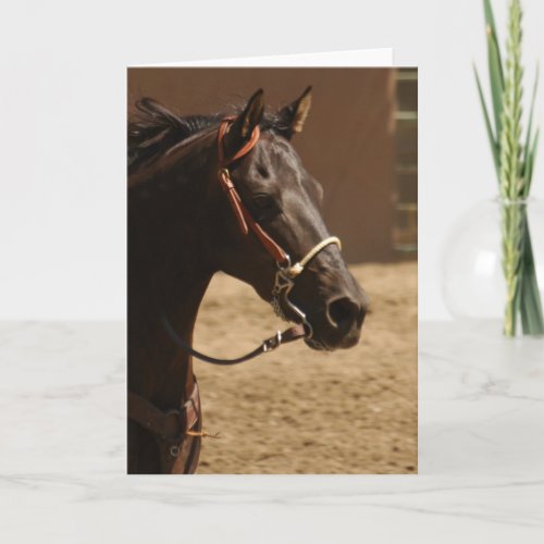 Black Beauty Blank Inside Greeting Card