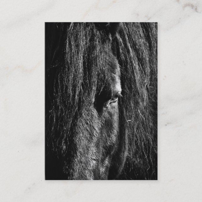 Black Beauty - Business Card (Front)