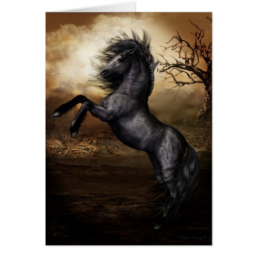 Black Beauty Card (Front)
