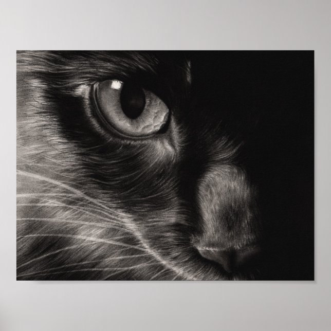 Black Beauty Cat Poster (Front)