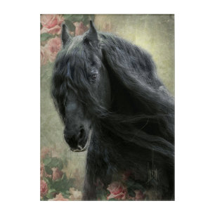 Black Beauty Friesian Horse - Acrylic Art