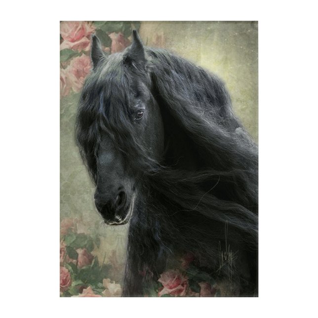 Black Beauty Friesian Horse - Acrylic Art (Front)