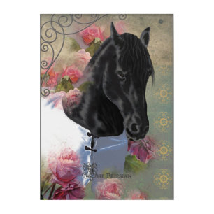 Black Beauty Friesian Horse - Acrylic Art