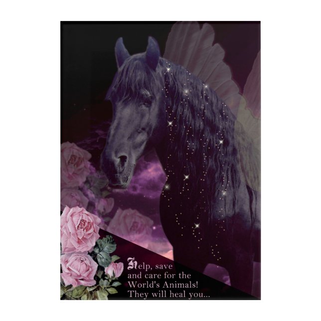 Black Beauty Friesian Horse - Acrylic Art (Front)