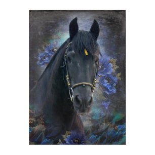 Black Beauty Friesian Horse - Acrylic Art