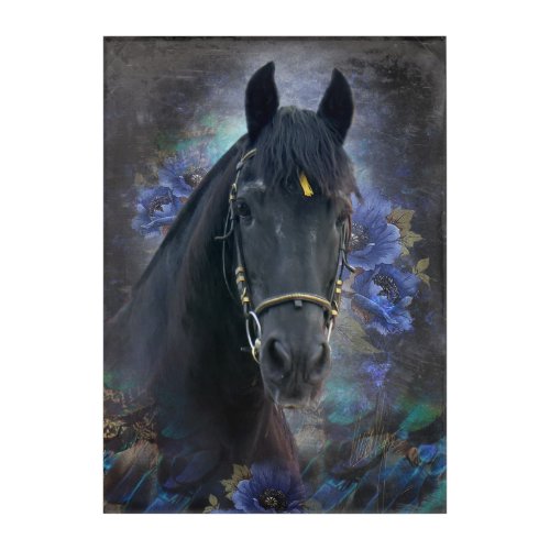 Black Beauty Friesian Horse _ Acrylic Art