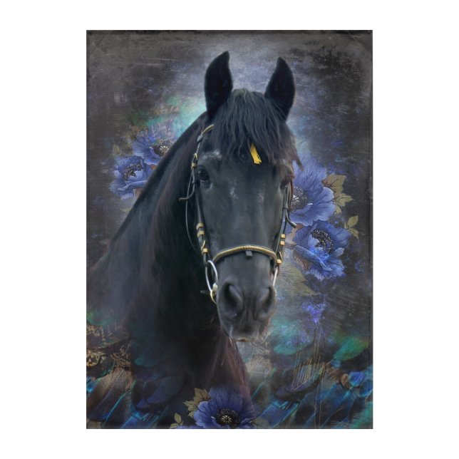 Black Beauty Friesian Horse - Acrylic Art (Front)