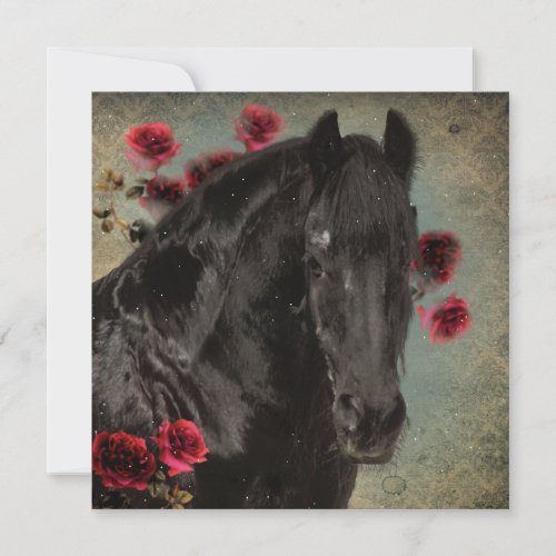 Black Beauty Friesian Horse _ Greeting Card