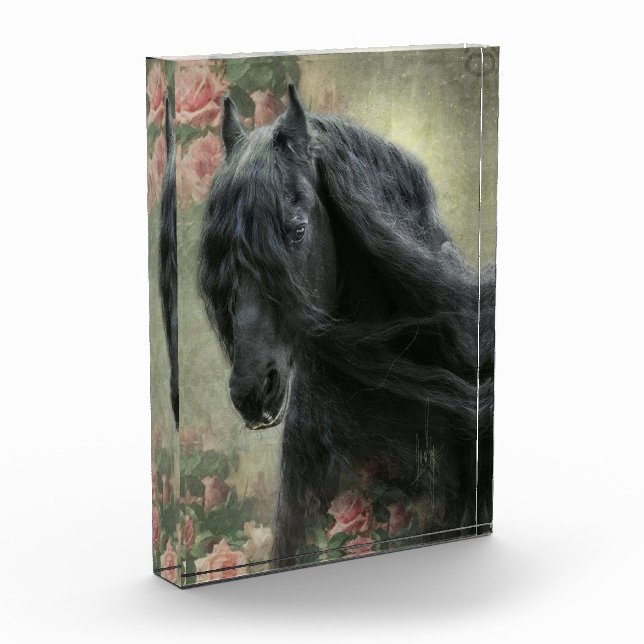 Black Beauty Friesian Horse - Photo Block (Left)