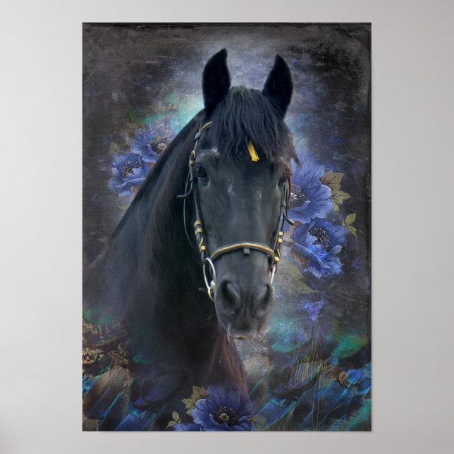 Black Beauty Friesian Horse - Poster (Front)