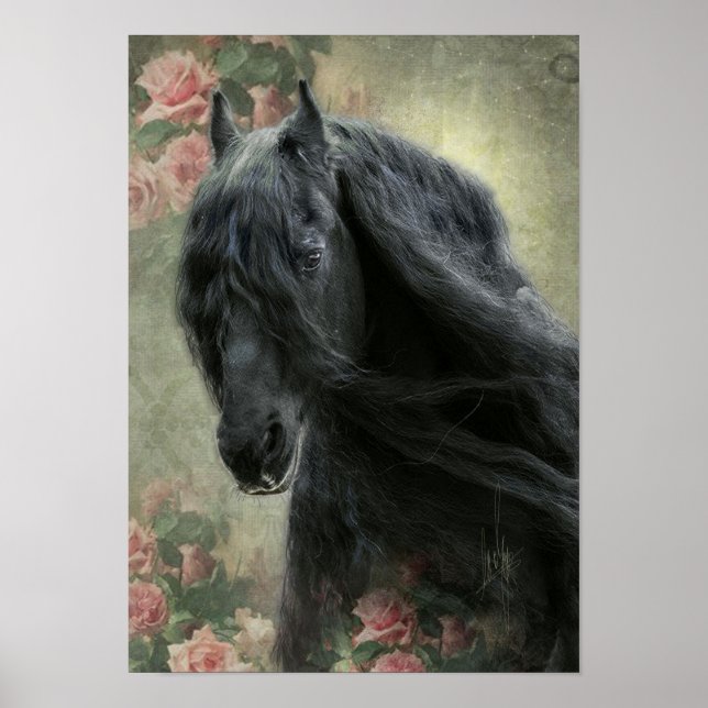 Black Beauty Friesian Horse - Poster (Front)