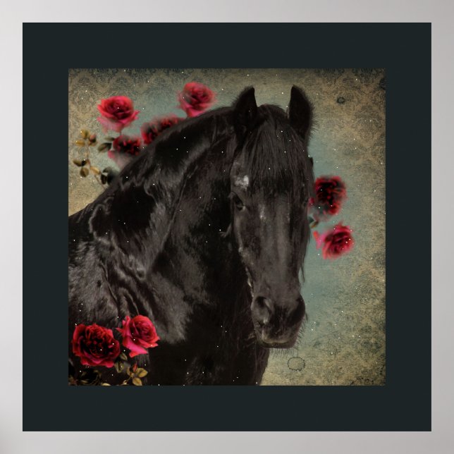 Black Beauty Friesian Horse - Poster (Front)