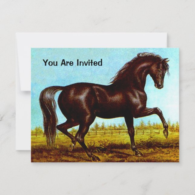 BLACK BEAUTY HORSE  BIRTHDAY PARTY INVITATION (Front)