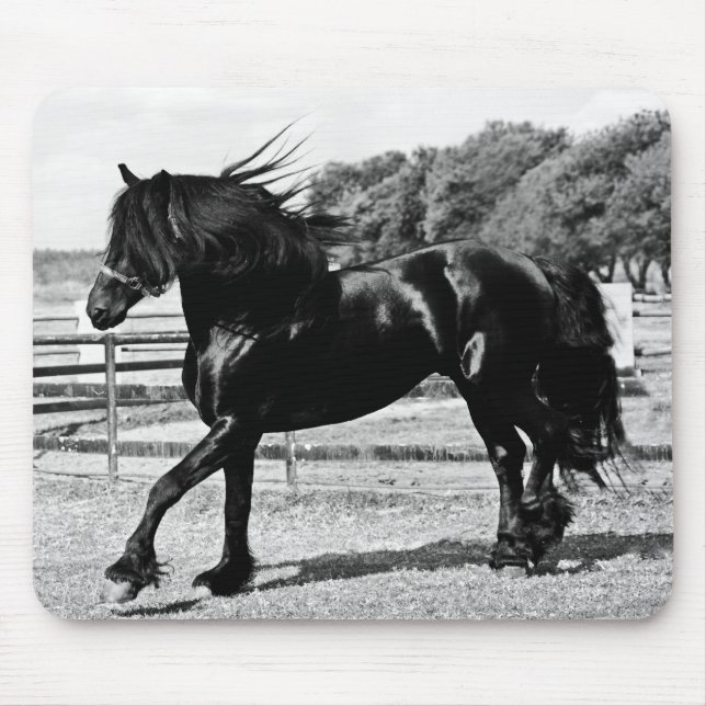 Black Beauty Horse Mouse Pad (Front)