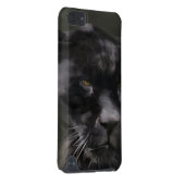 Black Beauty iPod Touch 5G Cover (Back/Right)
