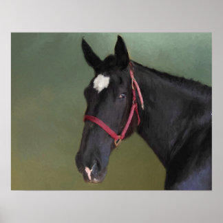 Black Beauty Poster