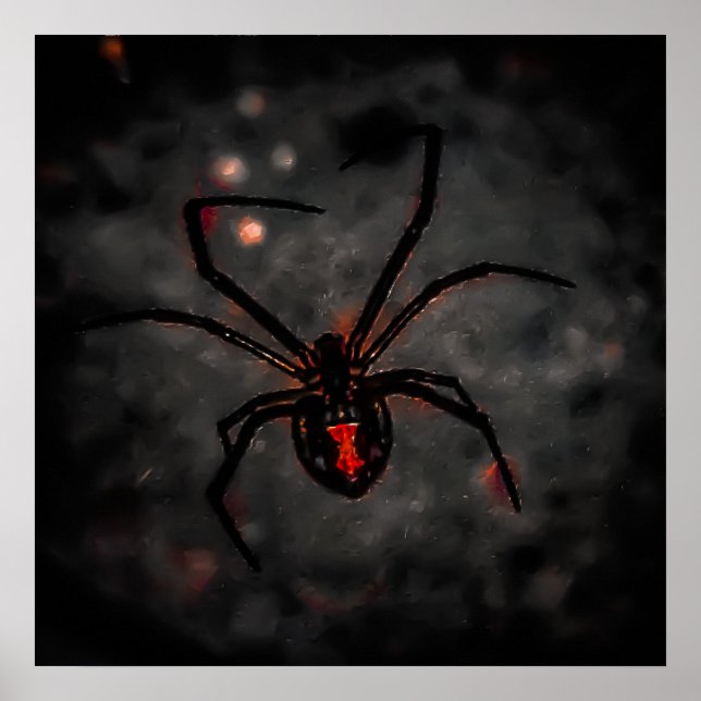 black Beauty Poster (Front)