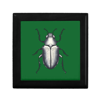 Black Beetle Gift Box