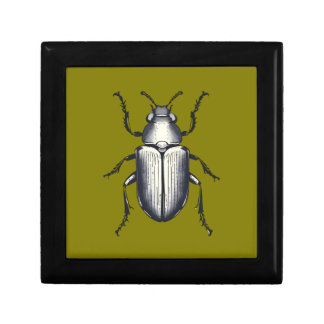 Black Beetle Gift Box