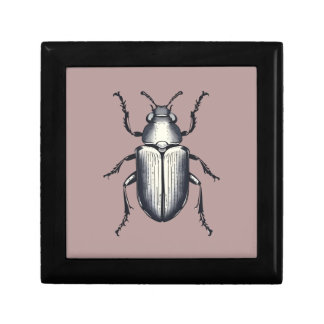 Black Beetle Gift Box