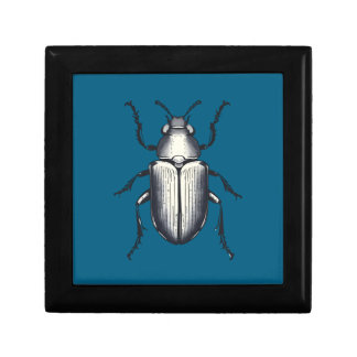 Black Beetle Gift Box