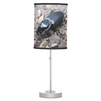 Black Beetle Table Lamp