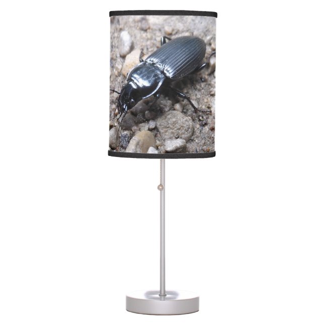 Black Beetle Table Lamp (Front)